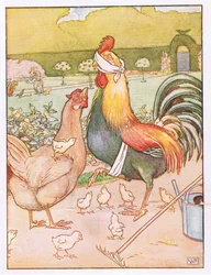 And the Cock Had a Nasty Knock, illustration from 